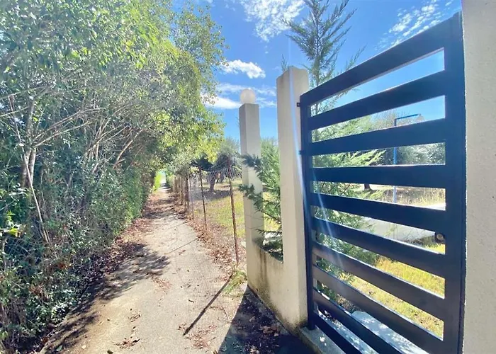 Majestic Iona Daire *